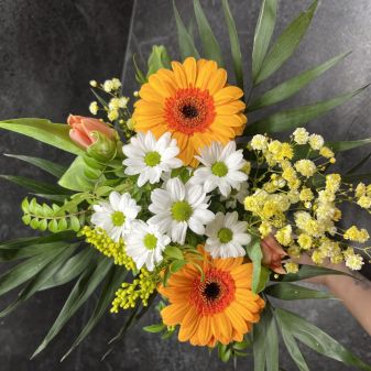 C:\fakepath\IMG 1283