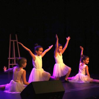 C:\fakepath\IMG 6826