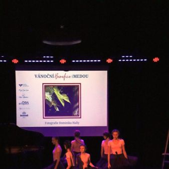 C:\fakepath\IMG 6904