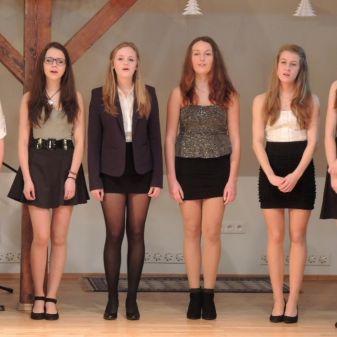 koncert žáků 26. 1. 2016