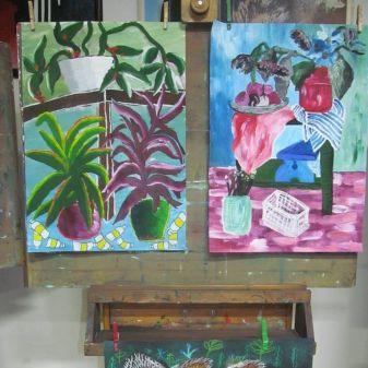 Anežka Smolíková - 1. místo na mezinárodní výtvarné soutěži a nominace na Zlatý oříšek 2016