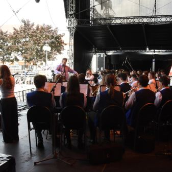 C:\fakepath\DSC 1105 a