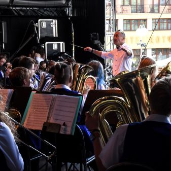 C:\fakepath\DSC 1132 a