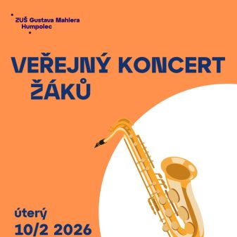 Veřejný koncert žáků 10. 2.