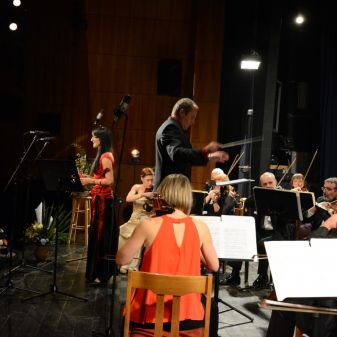 Galakoncert k 70. výročí založení ZUŠ a ke Dni boje za svobodu a demokracii, 14. 11. 2016