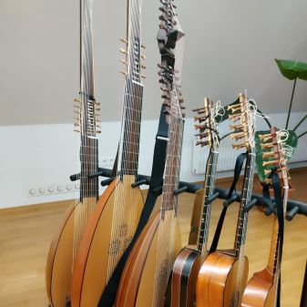 C:\fakepath\IMG 20240403 170244