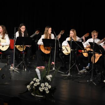 C:\fakepath\DSC 8100 a