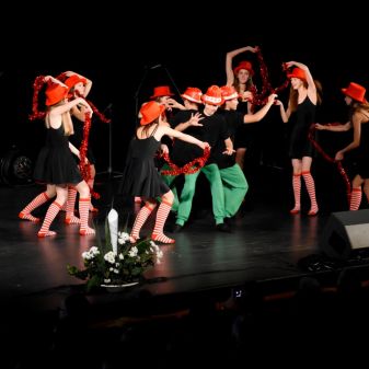 C:\fakepath\DSC 8279 a