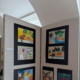 C:\fakepath\PXL 20250331 095214739(1)