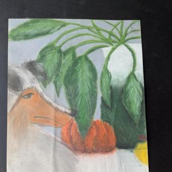 C:\fakepath\PXL 20250331 095504027(2)