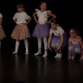 C:\fakepath\ DSC0013