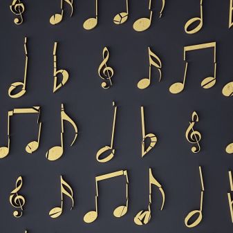 Rozvrh HN + PS ve šk. roce 2024/2025